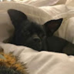 Meet your Posher, Adriane